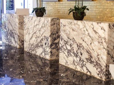 Calacatta Viola Marble