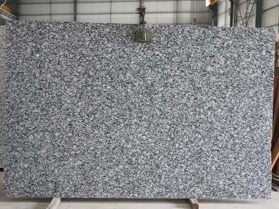 Oyster White Granite Stone